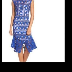 Elegant Blue Lace Cooper Street Dress